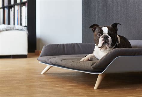 modern dog bed