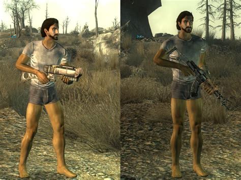 mods fallout 3