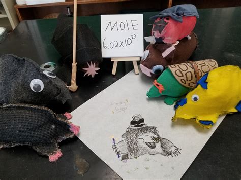 mole projects for mole day