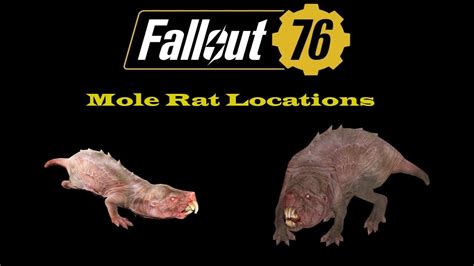 mole rat fallout 76