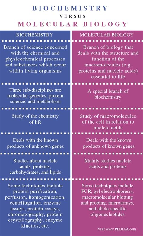 molecular biology vs biochemistry