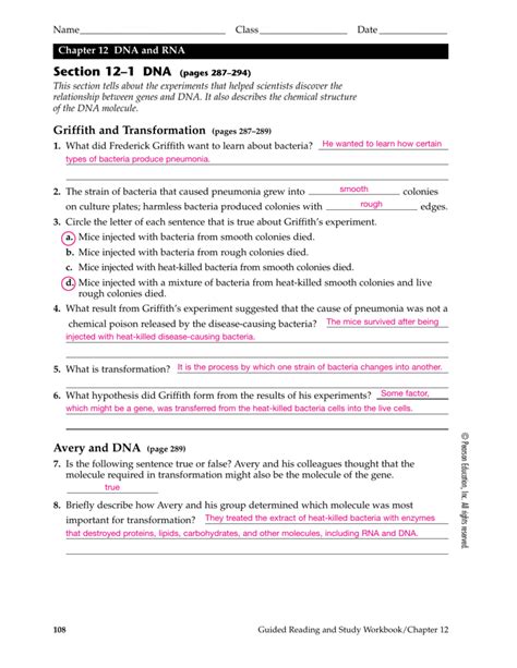 molecular genetics dna unit answer key Reader