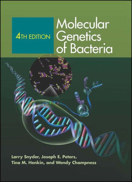 molecular genetics of bacteria 4th edition snyder Reader