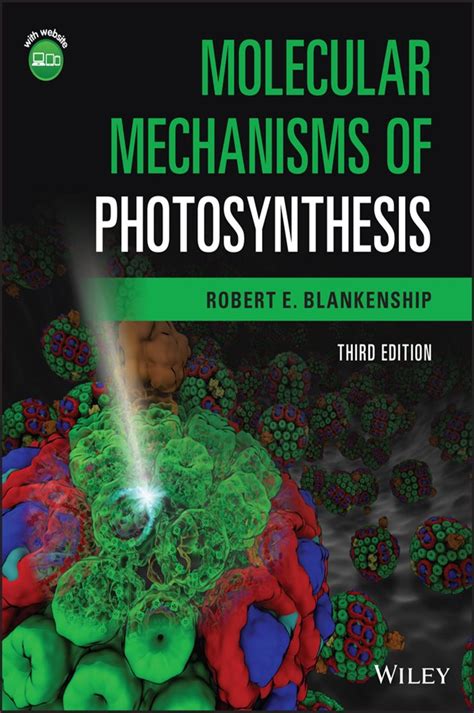 molecular mechanisms of photosynthesis Doc