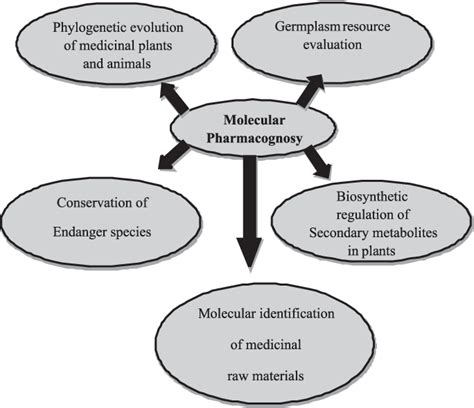 molecular pharmacognosy molecular pharmacognosy Epub
