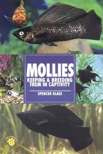 mollies keeping and breeding them in captivity Kindle Editon