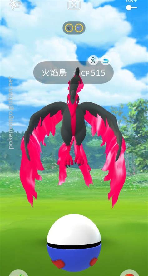 moltres pokemon go