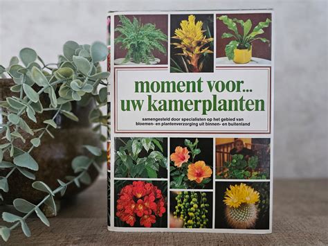 moment voor uw kamerplanten PDF