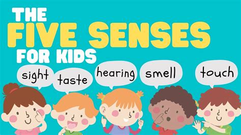 mommy what do i hear? five senses for children Kindle Editon