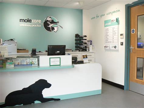 monster care animal hospital