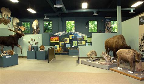 montana natural history center