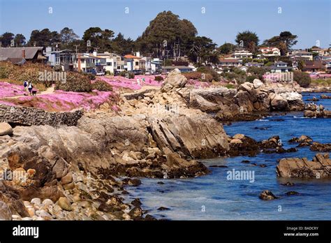 monterey peninsula pacific grove california