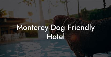 monterey pet friendly hotels