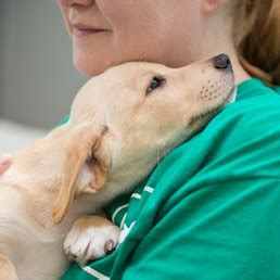 montgomery county humane society dayton ohio