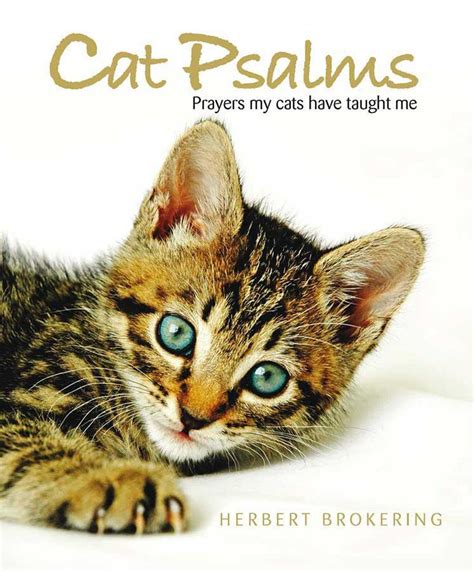 more cat psalms prayers my cats have taught me Reader