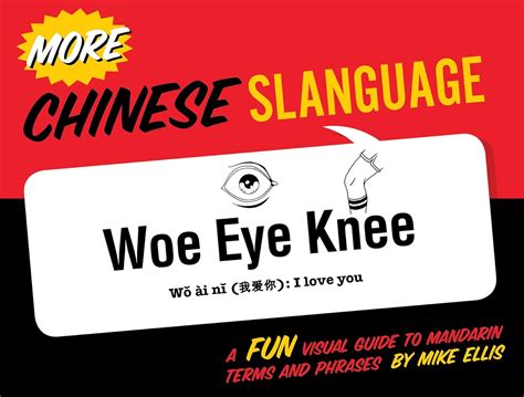 more chinese slanguage english and chinese edition PDF