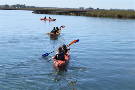 more paddles in paradise a guide to casual kayaking and canoeing around southwest florida and beyond PDF