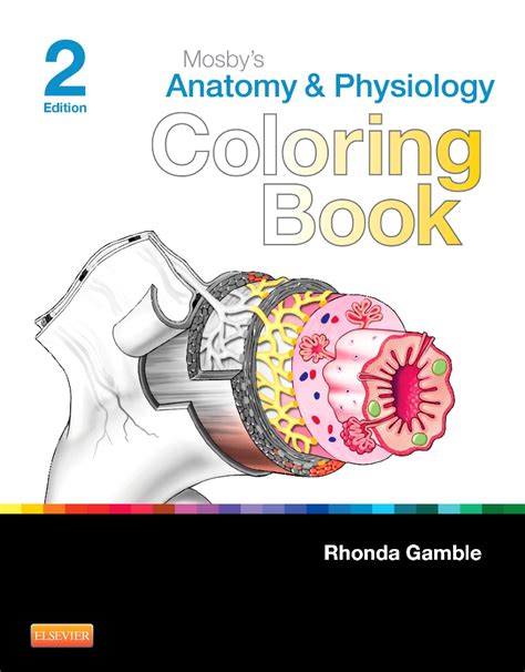 mosbys anatomy and physiology coloring book 2e Doc