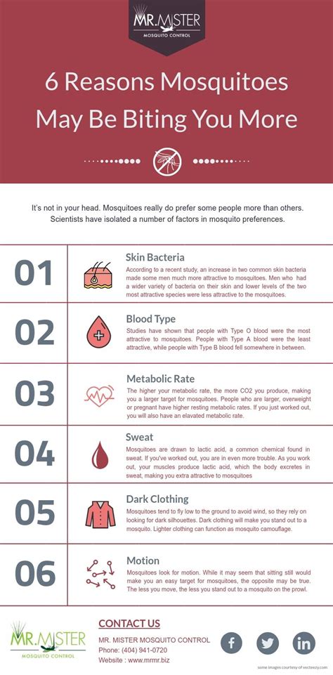 mosquito bite which blood group most