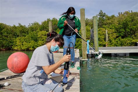 mote marine laboratory internships