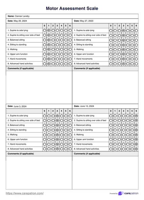 motor assessment scale for stroke PDF