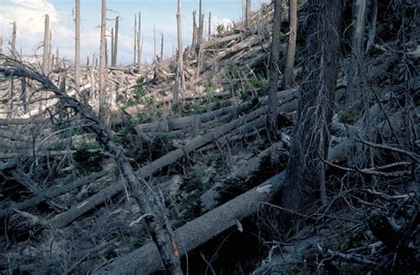 mount st helens a changing landscape Doc