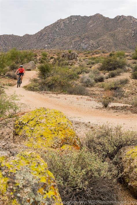 mountain biking arizona regional Kindle Editon