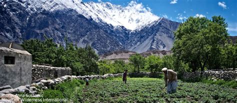 mountain farmers mountain farmers Reader