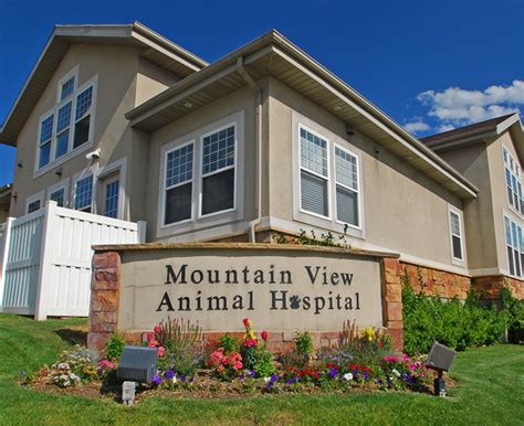 mountain view animal clinic