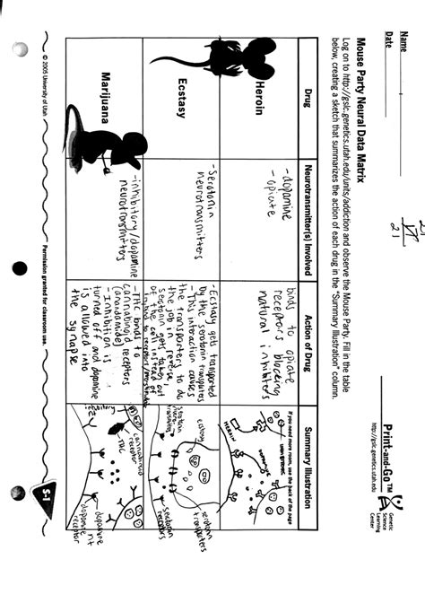 mouse party neural data matrix answers Doc