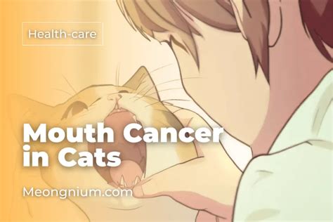 mouth cancer in cats when to euthanize