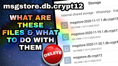 msgstore db crypt en tu ordenador descargar PDF