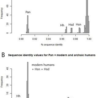 mtDNA Similarity: