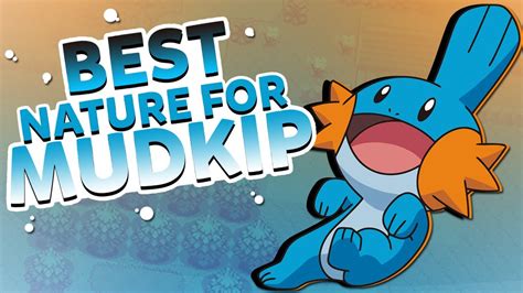 mudkip best nature