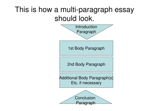 multi paragraph essay example PDF