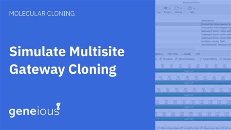 multisite gateway cloning manual Reader