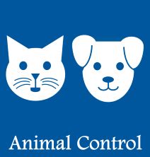 municipality of anchorage animal control