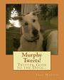 murphy tweets twitter gone to the dogs PDF