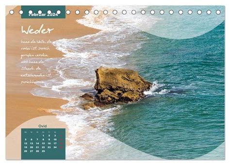 muscheln strand sommertr ume tischkalender monatskalender PDF