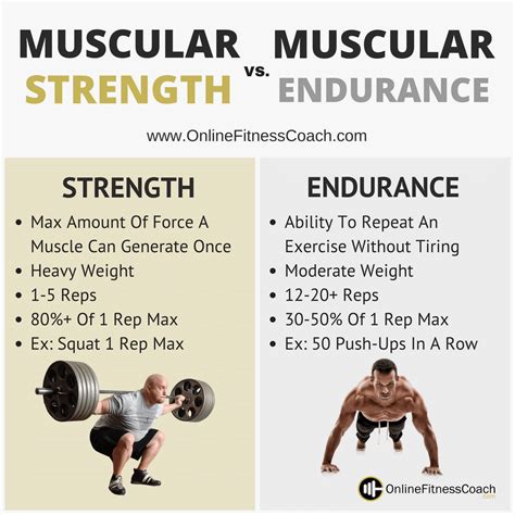 muscle endurance vs stamina