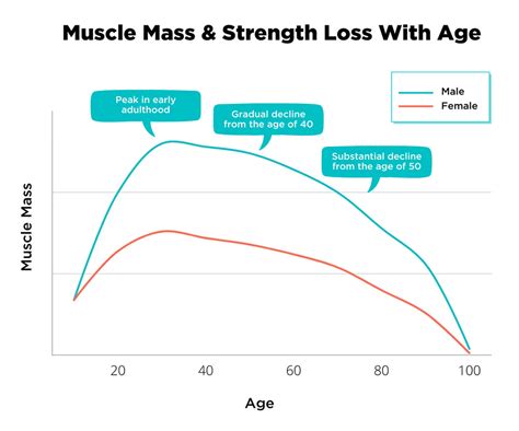 muscle mass loss per decade chart