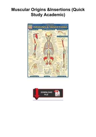 muscular origins and insertions quickstudy academic Epub