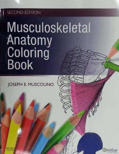 musculoskeletal anatomy coloring book 2e Doc