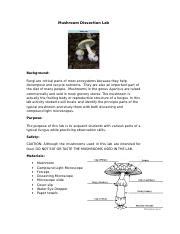 mushroom dissection lab answers Reader