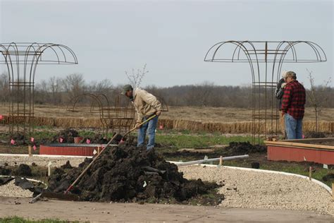 mushroom garden trellis