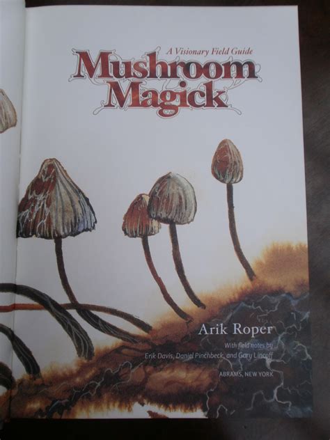 mushroom magick a visionary field guide PDF