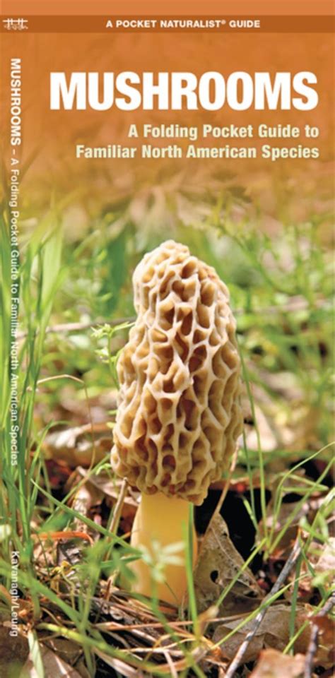 mushrooms a folding pocket guide to familiar north american species pocket naturalist guide series PDF