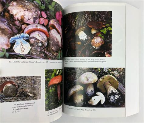 mushrooms demystified a comprehensive guide to the fleshy fungi Kindle Editon