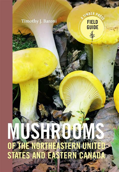 mushrooms of northeastern north america Kindle Editon