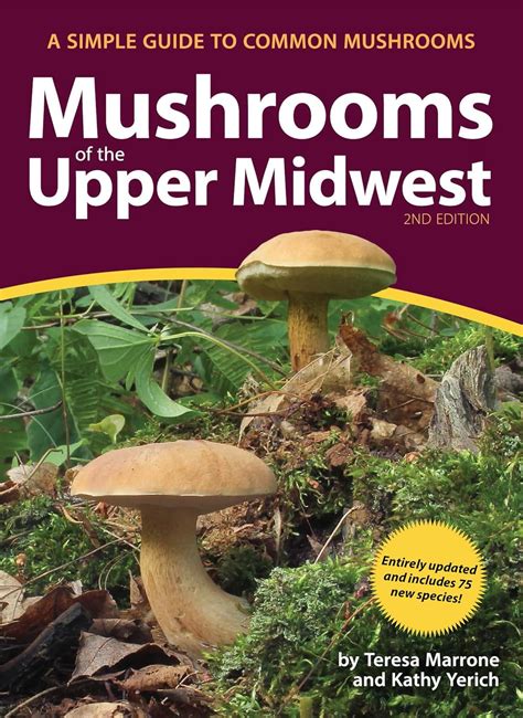 mushrooms of the upper midwest a simple guide to common mushrooms Kindle Editon